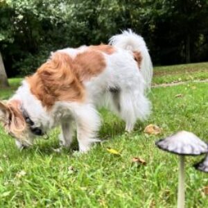Profile photo of Rachel