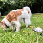 Profile photo of Rachel