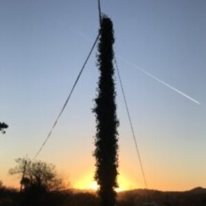 Group logo of Bantry & Beara Hub